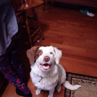 Profile Picture of Collin Gill (@collin.gill.75) on Facebook