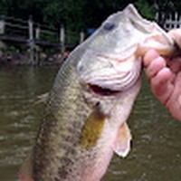 Profile Picture of Trevor Tufty (@trevor-tufty) on Quora