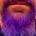 Profile Picture of Steve Payne (@twinarp) on Pinterest