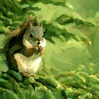 Howard Yuan - Quora Profile Picture of Howard Yuan (@howard-yuan-7) on Quora