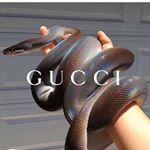 Profile Picture of ¥oung Jimbeï 🔱💦 (@will_joshua_cato) on Instagram