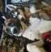 Profile Picture of Angela R Burrows (@Angela-R-Burrows) on Facebook