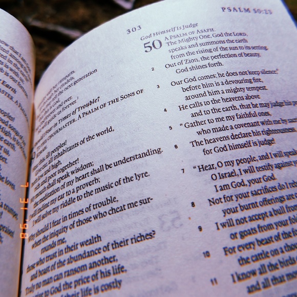 Profile Picture of Aurora Jakobsen (@auja3) on Poshmark