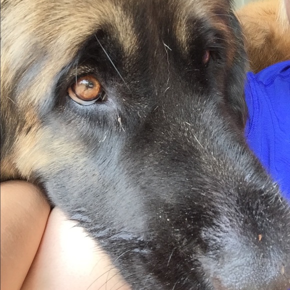 Profile Picture of Ann Horwich (@ahs8) on Poshmark