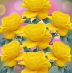 Profile Picture of Morad Mot (@sofyan.mot) on Facebook