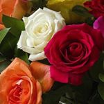 Profile Picture of Saima Mirza (@saima4058) on Instagram