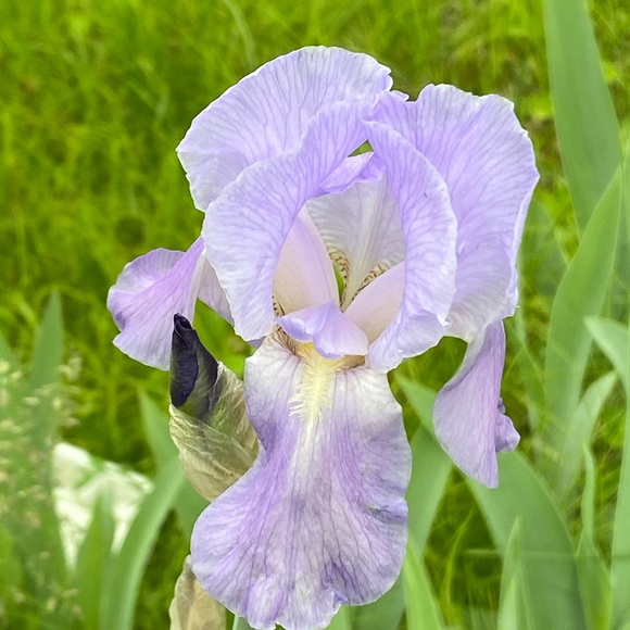 Georgia Berny - Poshmark Profile Picture of Georgia Berny (@gberny) on Poshmark