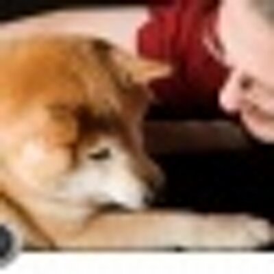 Profile Picture of Bob Falconer (@robgigya) on Twitter