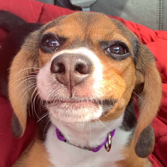 Profile Picture of Haylee Miazga (@hjwillyums) on Poshmark