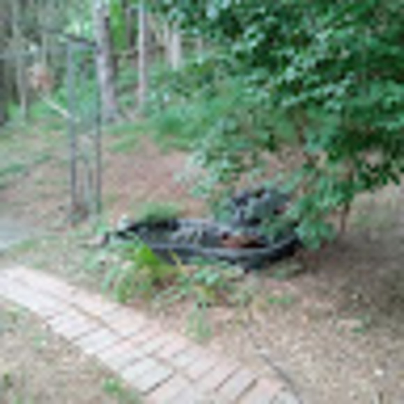 Profile Picture of Joyce Beverlin (@joycebeverlin69) on Poshmark