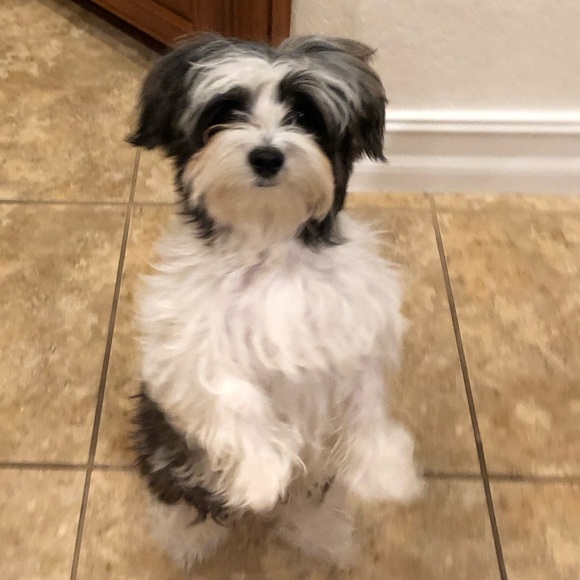 Profile Picture of Paula Toskes (@fashionfocus1) on Poshmark