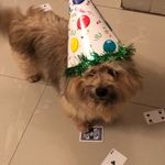 Profile Picture of Michelle (@mozzarella_sticckk) on Instagram