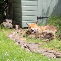 Profile Picture of Rob Paul (@rob-paul-7) on Quora