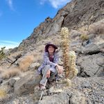 Profile Picture of Michelle Cloud-Hughes (@cmdobot) on Instagram
