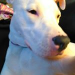 Profile Picture of Nathan Weinberger (@apex_nate) on Instagram