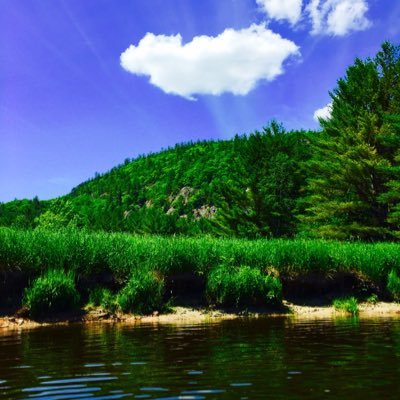 Profile Picture of James Dingman (@PandaEvander) on Twitter