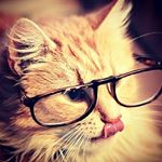Profile Picture of rajeswari kumar (@rajeswari2001) on Instagram