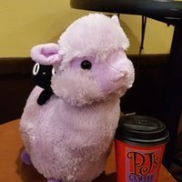 Profile Picture of Taylor Bradly (@thefancyschman) on Twitter