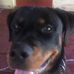 Profile Picture of Steve Nease (@steve.nease.50) on Facebook