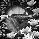 Profile Picture of Akram Alawi (@alawiakram) on Instagram