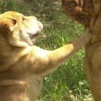 Profile Picture of Astrid Oconnor (@astrid.oconnor.73) on Facebook