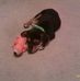 Profile Picture of David Cyphers (@david.cyphers.16) on Facebook