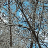 Profile Picture of Eric Manninen (@eric-manninen) on Quora