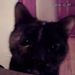 Profile Picture of Robin Purdy (@robinpurdyia) on Pinterest