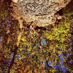Profile Picture of Marcel Guss (@marcelguss) on Instagram
