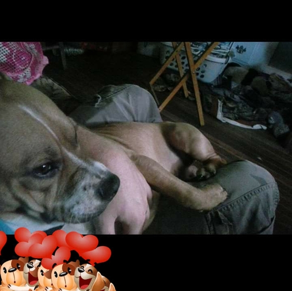 Profile Picture of Summer Stano (@summerstano) on Poshmark