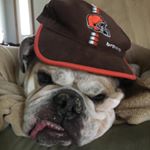 Profile Picture of Shawn Luster (@lustershawn) on Instagram