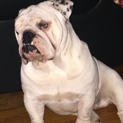 Profile Picture of Mark Trask Sr (@StTrask) on Twitter