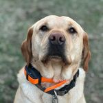 Profile Picture of Shawna Jacobs (@shawnajacobs) on Instagram