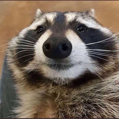 Profile Picture of Dylan Davison (@DylanDavison19) on Twitter