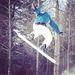 Profile Picture of Gavin Thorpe (@gavinthorpe710) on Pinterest