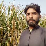 Profile Picture of Qaiser Abbas (@qasir99818) on Instagram
