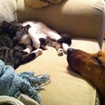 Profile Picture of David Kendrick (@hoppingpeacefrog) on Instagram