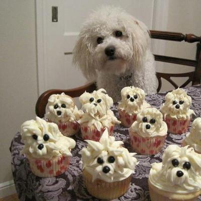 Profile Picture of Bob Beymer (@2010bobB) on Twitter