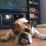 Profile Picture of Jacob Friedberg (@mrfriedberg) on Instagram