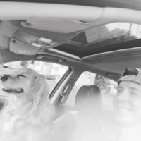 Profile Picture of Matt Zecchini (@matt-zecchini-1) on Quora