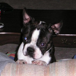 Profile Picture of Doug Strobl (@262034088) on Myspace