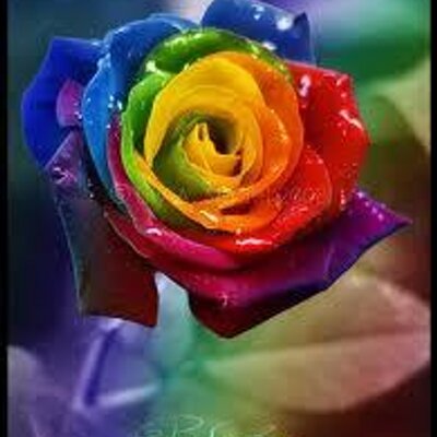 Profile Picture of Chris Venema (@teachercv) on Twitter