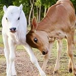 Profile Picture of Abdifatah Omar (@abdifatah.omar.399) on Instagram