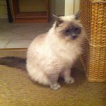 Jill Mccluand - Instagram Profile Picture of Jill Mccluand (@jillmccluand) on Instagram