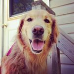 Profile Picture of Patrick Cox (@patcox16) on Instagram