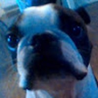 Profile Picture of Ava Ross (@ava-ross-72) on Quora