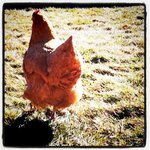 Profile Picture of Randy Herron (@randyherron2abf) on Instagram