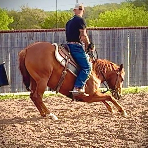 Profile Picture of shaunstrickland12 (@shaunstrickland12) on Tiktok