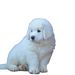 Profile Picture of Little Flower Lambs (@littleflowerlambs) on Pinterest