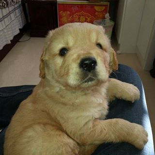 Profile Picture of Apan Liu (@apan.liu.1) on Facebook